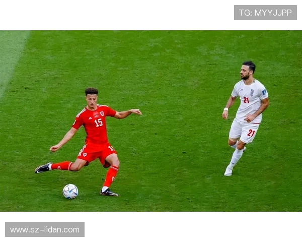 国足对阵伊朗比赛前奏国歌时刻引发球迷热烈反响与情感共鸣